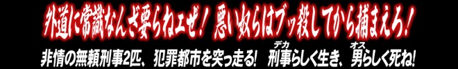 「バニシング　特別版」コピー画像