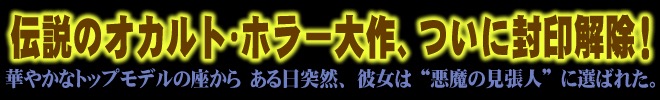 「センチネル 特別版」コピー画像